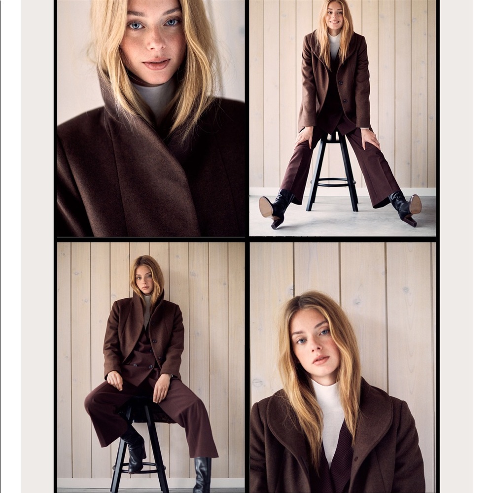 *SOLD* Aritzia Wilfred Cocoon Coat - Picture 6 of 8